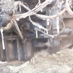 Фотодокумент 41