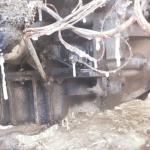 Фотодокумент 47