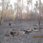 Фотодокумент 57