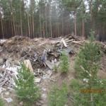 Фотодокумент 62