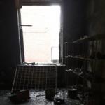 Фотодокумент 69