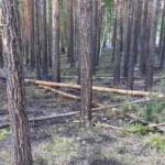 Фотодокумент 96