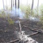 Фотодокумент 95