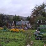 Фотодокумент 111