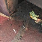 Фотодокумент 125