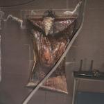 Фотодокумент 156