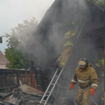 Фотодокумент 221