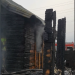 Фотодокумент 223