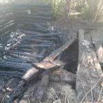 Фотодокумент 213