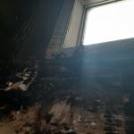 Фотодокумент 209