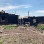 Фотодокумент 231