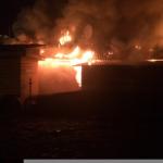 Фотодокумент 294