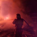 Фотодокумент 346