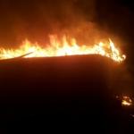 Фотодокумент 394