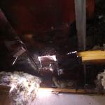 Фотодокумент 405