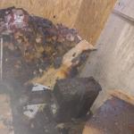 Фотодокумент 401