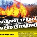 Фотодокумент 413