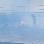 Фотодокумент 419