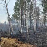 Фотодокумент 430