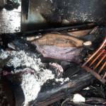 Фотодокумент 438