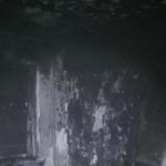 Фотодокумент 444