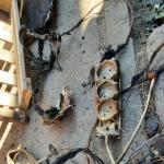 Фотодокумент 454