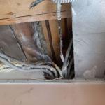 Фотодокумент 462