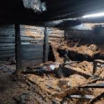 Фотодокумент 497