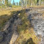 Фотодокумент 500