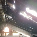 Фотодокумент 503