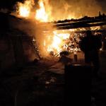 Фотодокумент 530