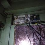 Фотодокумент 539