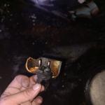 Фотодокумент 538