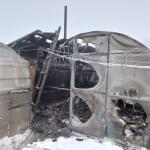 Фотодокумент 548