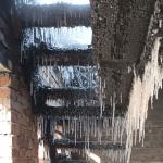 Фотодокумент 556