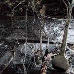 Фотодокумент 571