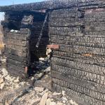 Фотодокумент 601