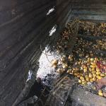 Фотодокумент 607