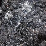 Фотодокумент 636