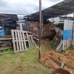 Фотодокумент 633