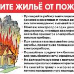 Фотодокумент 657