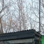 Фотодокумент 675