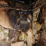 Фотодокумент 692