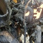 Фотодокумент 703 Фотодокумент 703