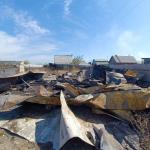 Фотодокумент 782 Фотодокумент 782