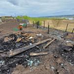 Фотодокумент 785