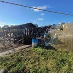 Фотодокумент 796