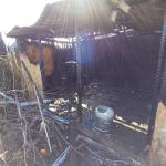 Фотодокумент 801