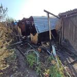 Фотодокумент 800