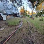 Фотодокумент 802